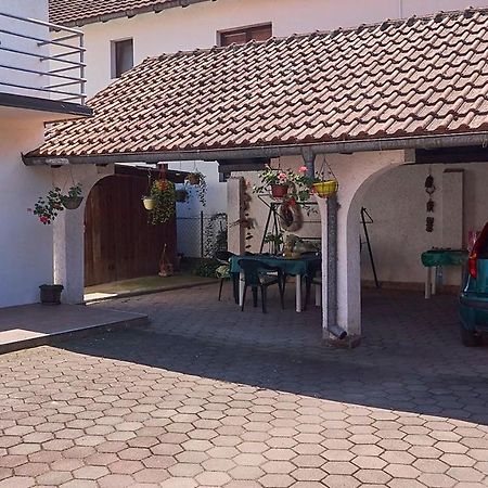 Milica Villa Banja Koviljaca Luaran gambar