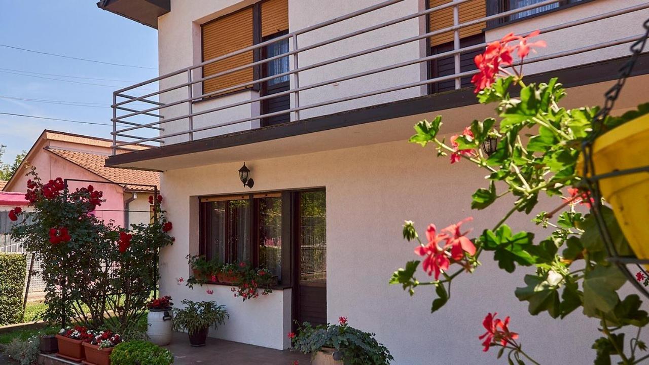 Milica Villa Banja Koviljaca Luaran gambar